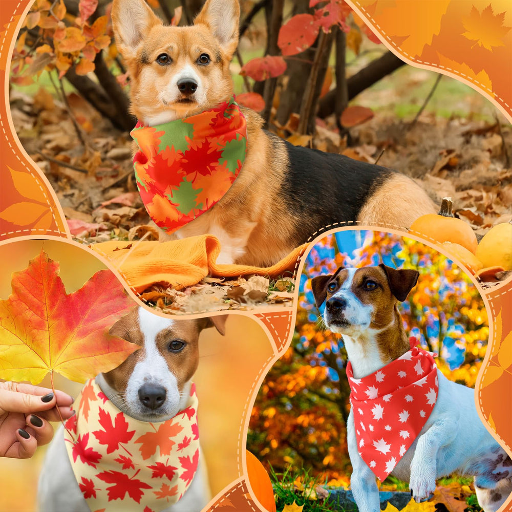 Chunful bandana posé à côté d'une règle pour indiquer la taille ajustable