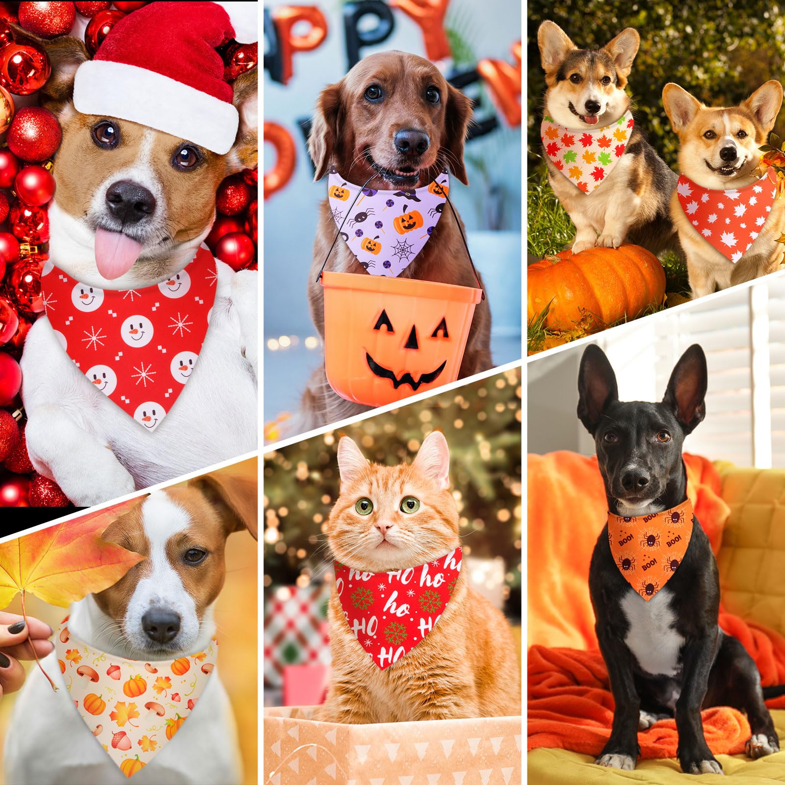 Chunful bandanas en scène automnale, idéal pour photos et fêtes