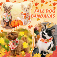Chunful bandana porté sur chien pour look festif et confortable