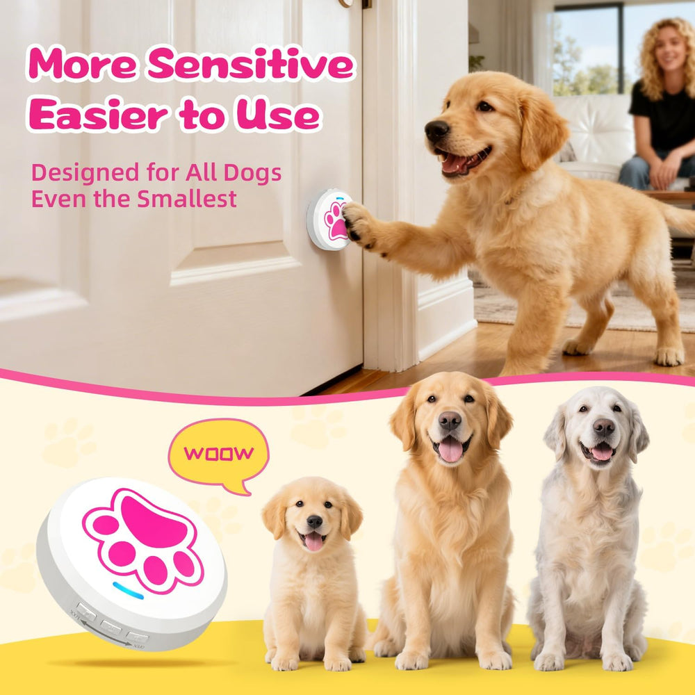 ChunHee chiot pressant la sonnette démontrant interaction simple et communicative