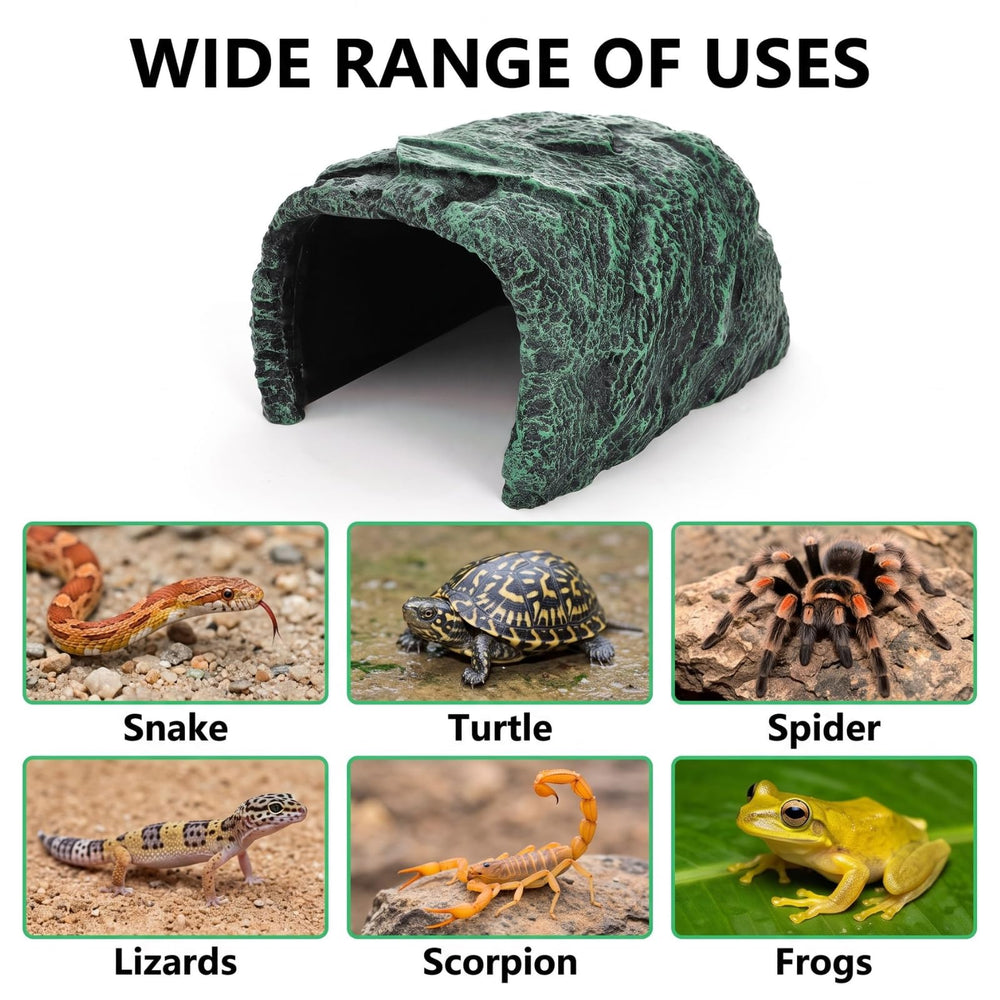 Cididu comparaison taille montrant dimensions adaptées aux petits reptiles