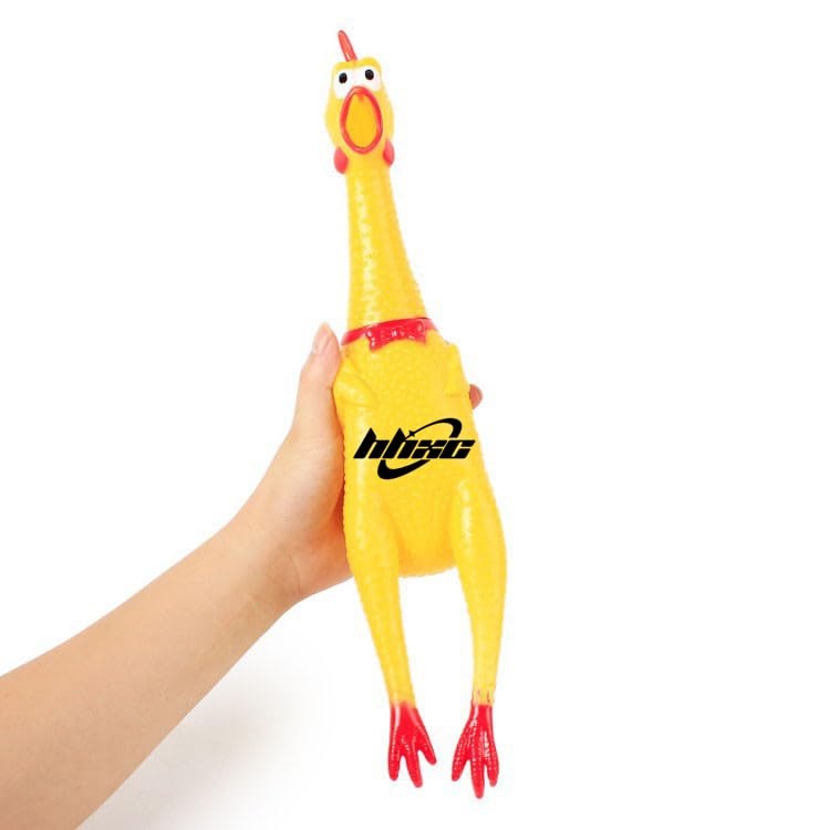 Cielasis poulet en cours de nettoyage facile pour hygiène rapide