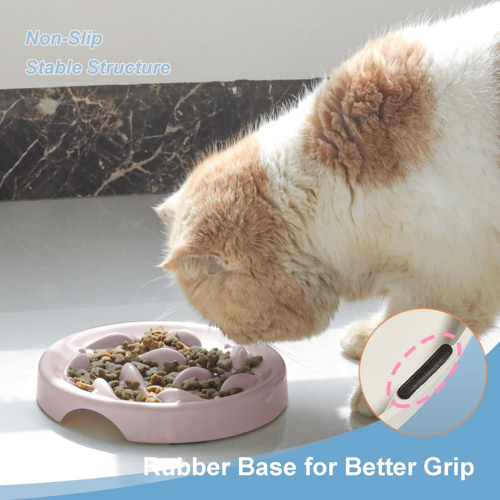 Cilkus gamelle comparaison taille avec main, montre dimensions adaptées aux chats