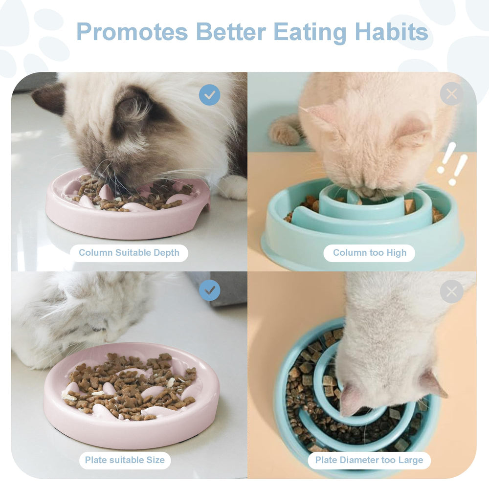Cilkus gamelle en usage avec chat, stimule l'alimentation lente et le jeu