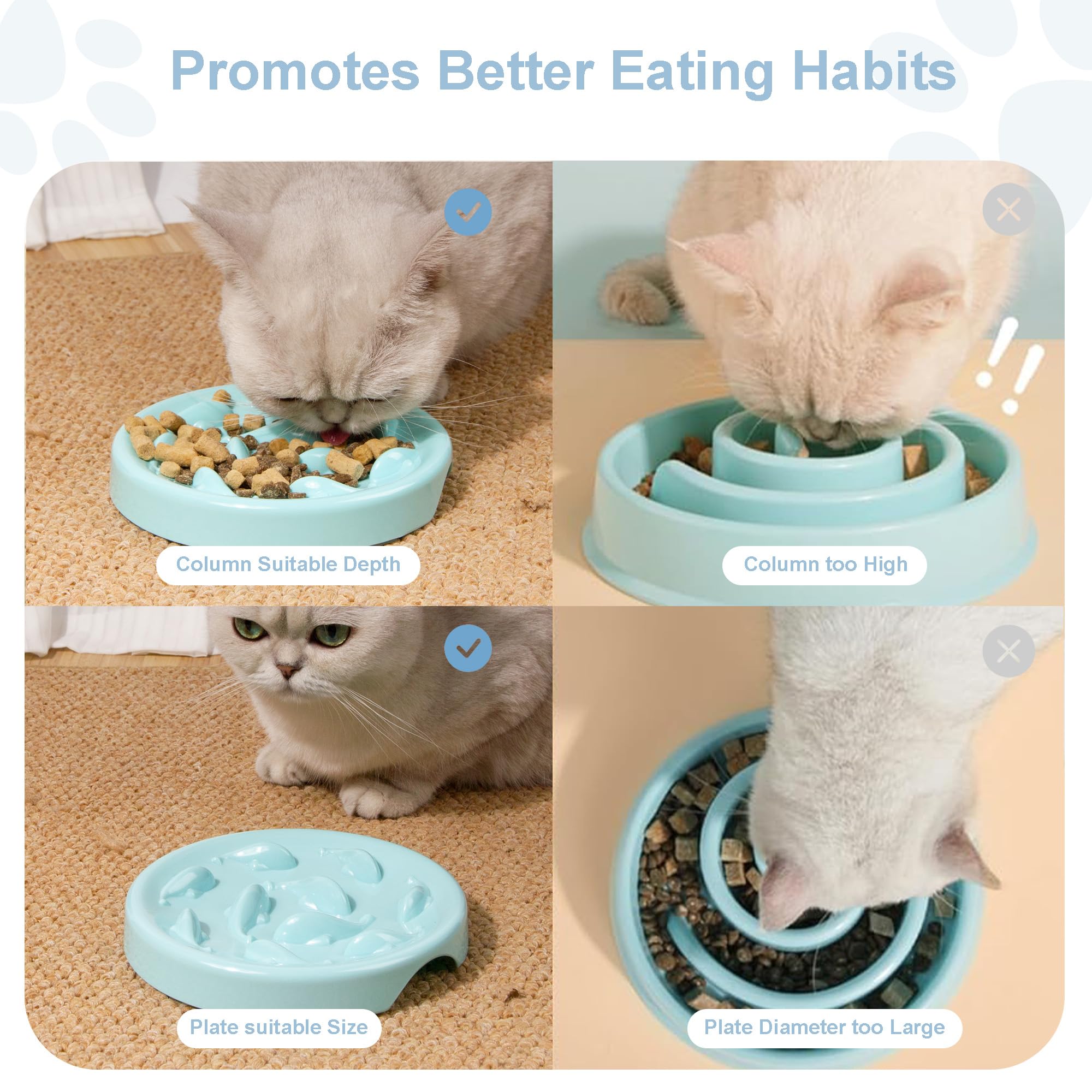 Cilkus gamelle utilisée par un chat pour encourager repas plus lents