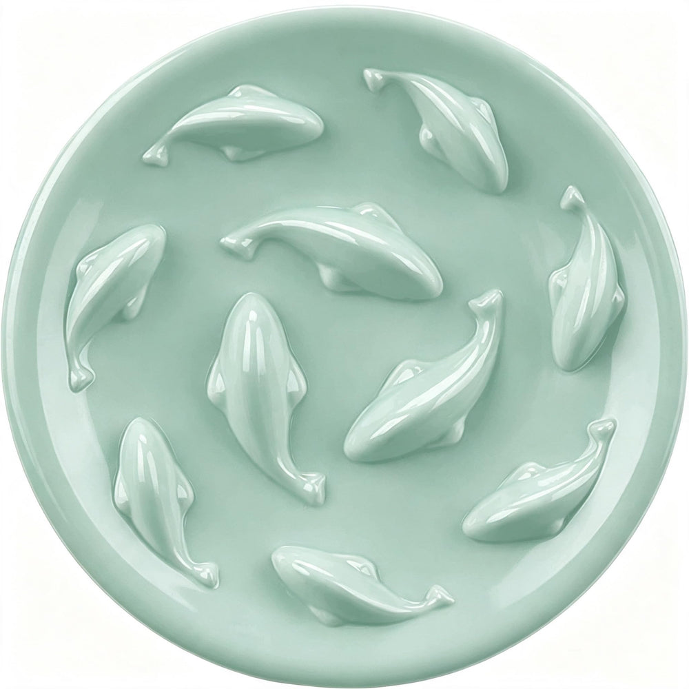 Cilkus gamelle face avant verte montrant design piscine de poissons attractif