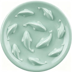Cilkus gamelle face avant verte montrant design piscine de poissons attractif