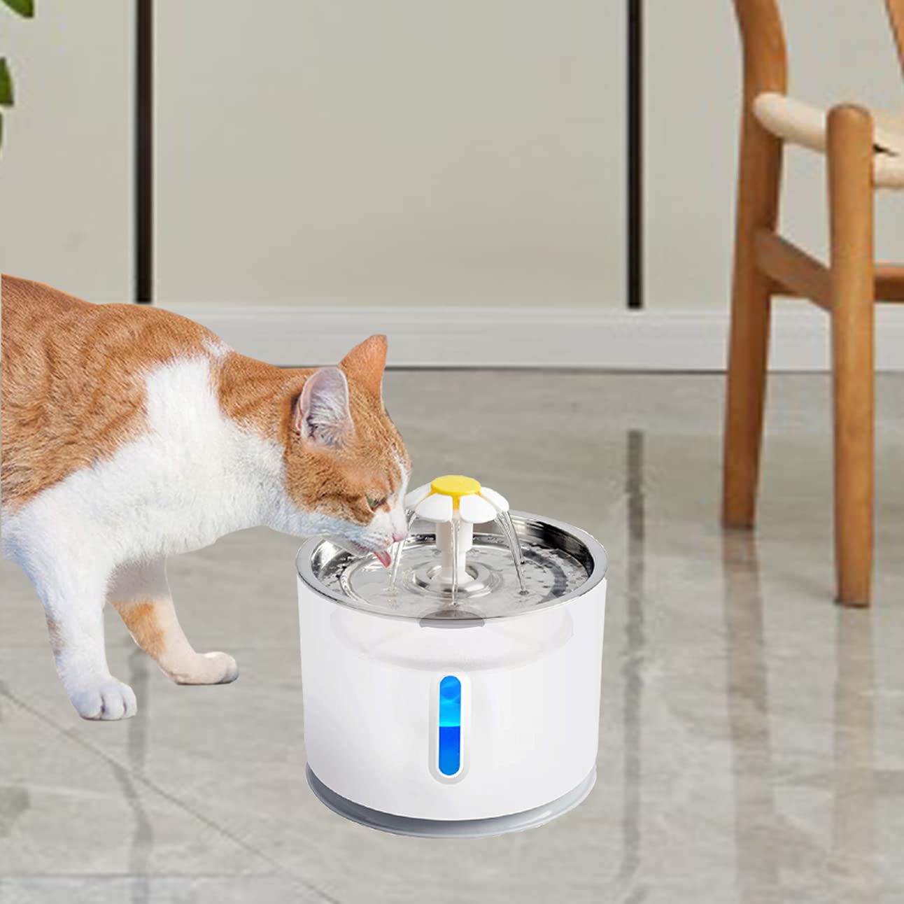 Cirfifth filtre utilisé dans une cuisine, design discret et confort pour le chat