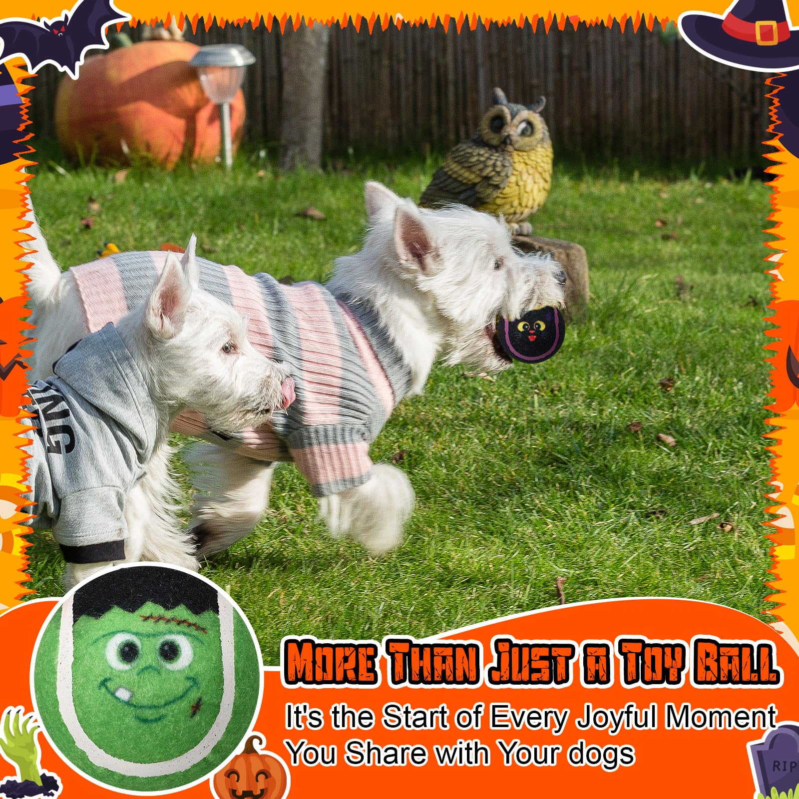 Civaner assortiment motifs Halloween colorés pour visibilité