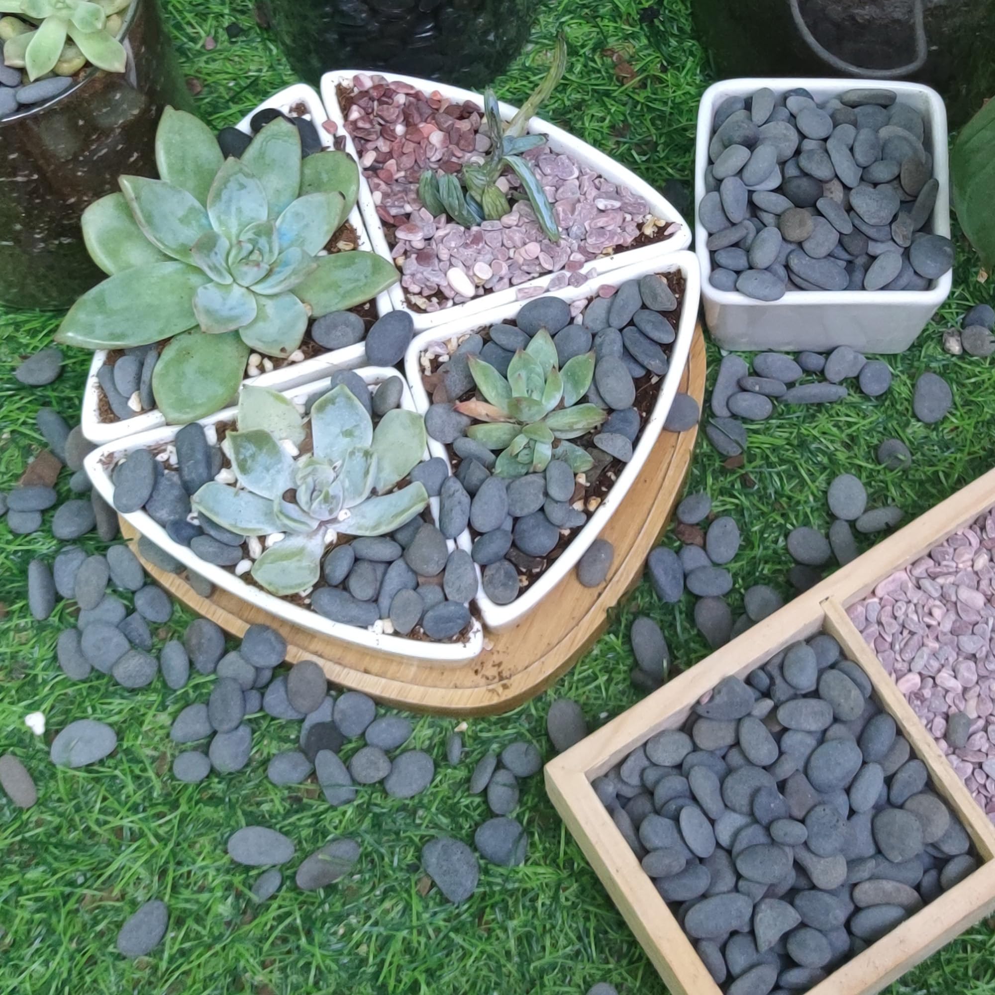 CJGQ galets intégrés dans un coin de jardin, créent une ambiance zen