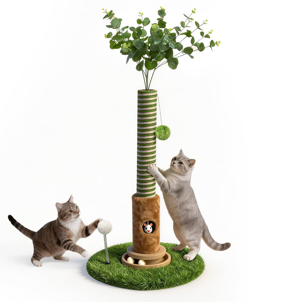 Ckin pet base lourde en gros plan pour empêcher le basculement
