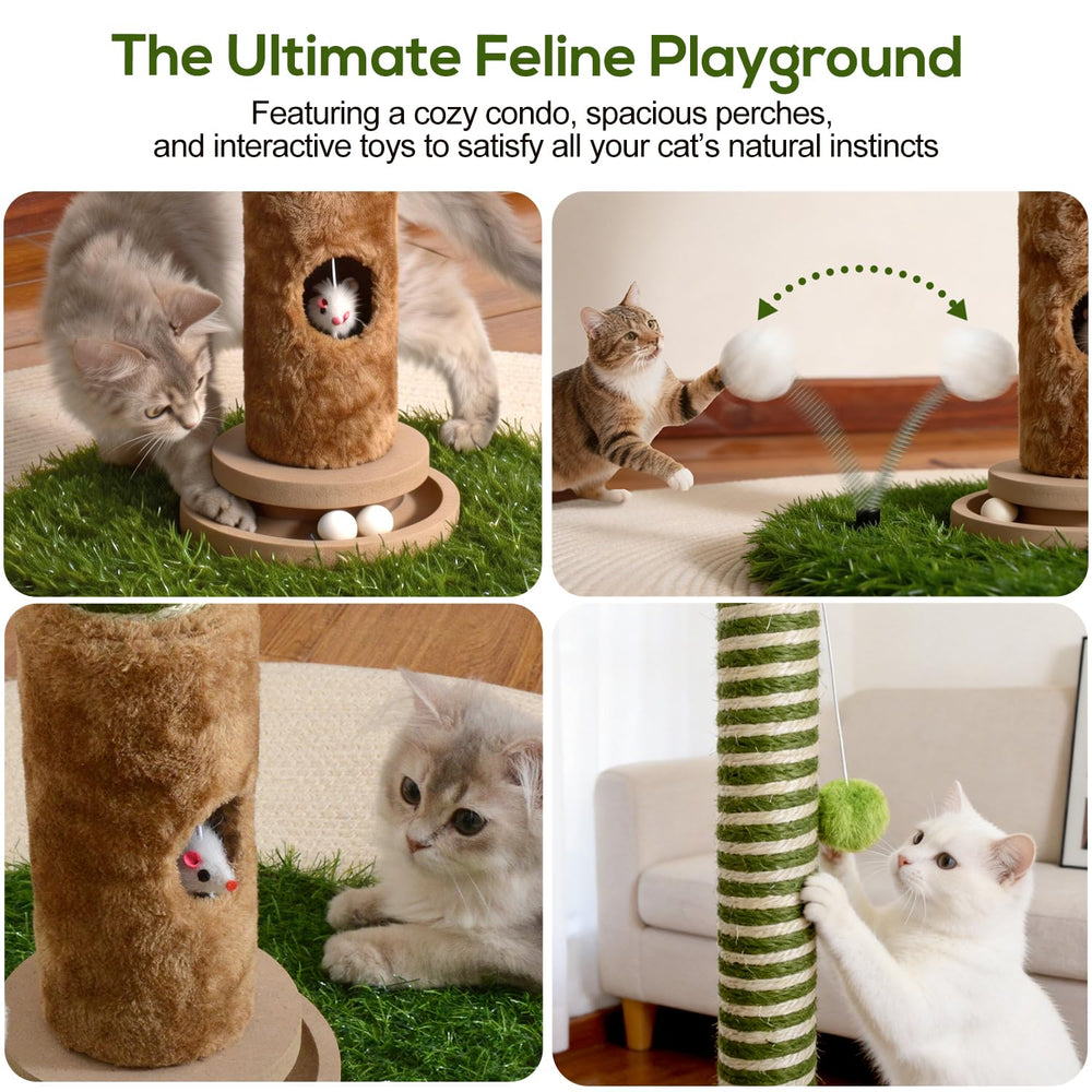 Ckin pet installation dans salon protège meubles et tapis