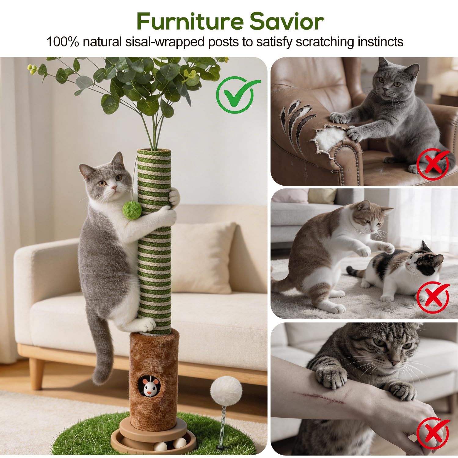 Ckin pet trou souris avec billes pour éveiller l’instinct chasseur