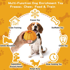 ClariVora en usage avec chien poussant le jouet pour obtenir friandises