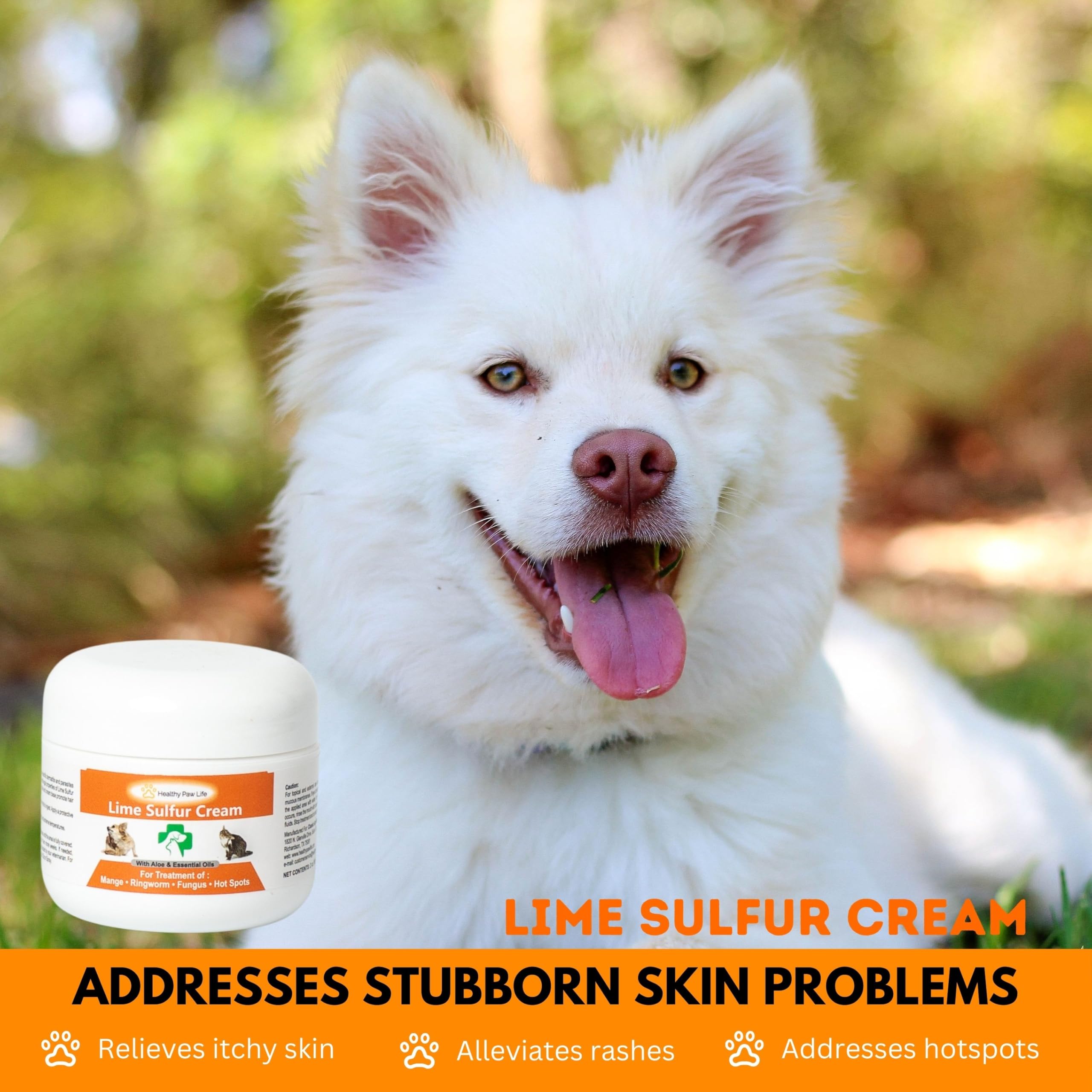 Classic's Lime Sulfur crème appliquée sur patte de chien pour apaiser démangeaisons