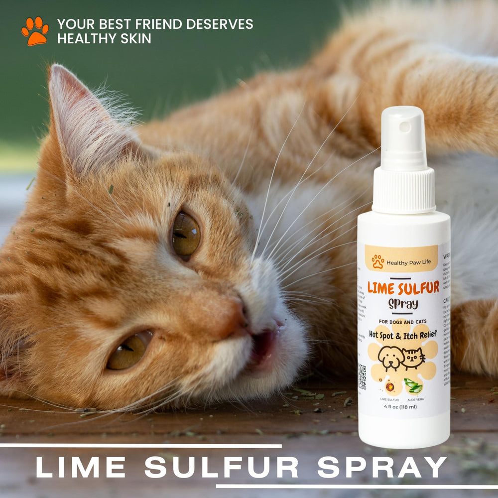 Classic's Lime Sulfur comparaison de taille 2 oz et 4 oz pour choix pratique