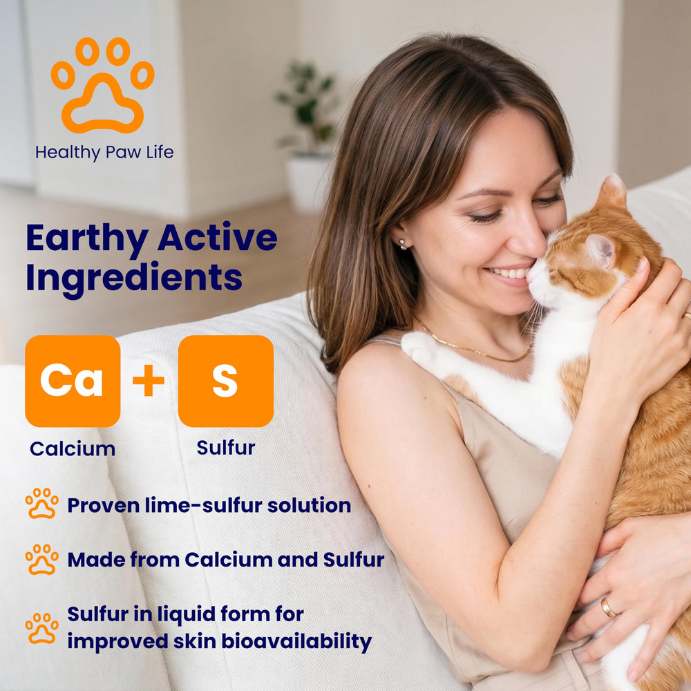Classic's Lime Sulfur Dip application en épongement sur chien pour calmer démangeaisons