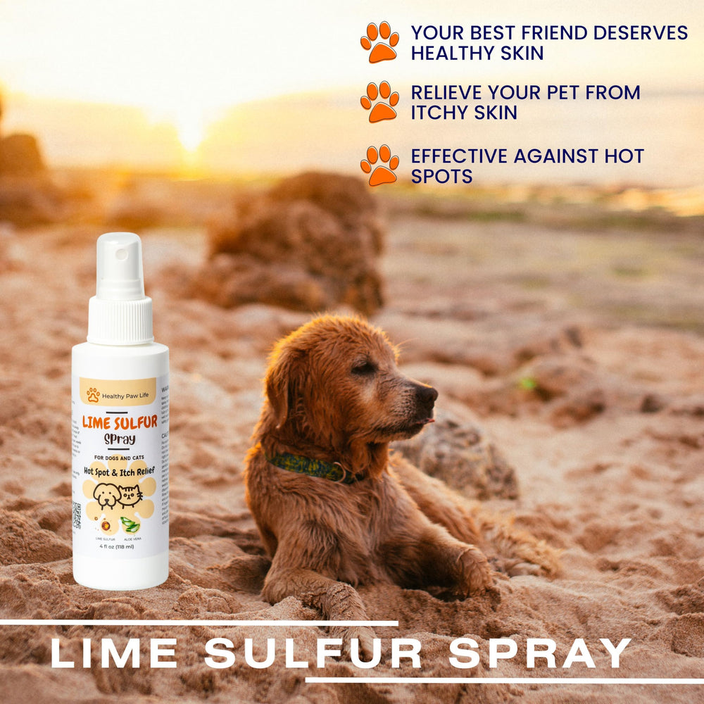Classic's Lime Sulfur animal au pelage sain illustrant bénéfice préventif