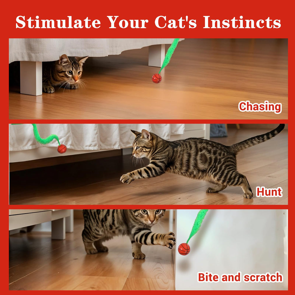Classicseali en usage chat chassant stimulant exercice et chasse naturelle