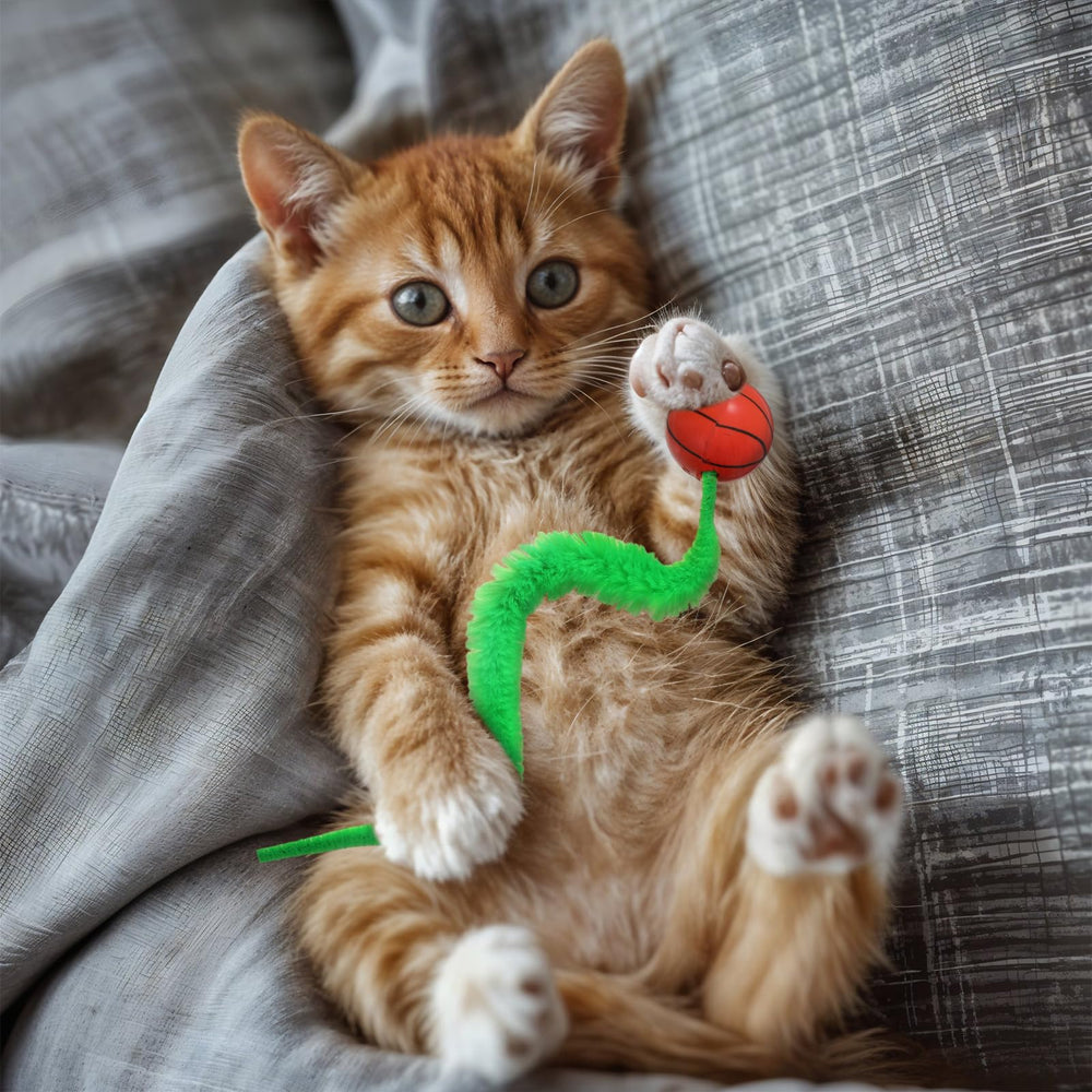 Classicseali taille comparaison dans une main illustrant ergonomie pour chat