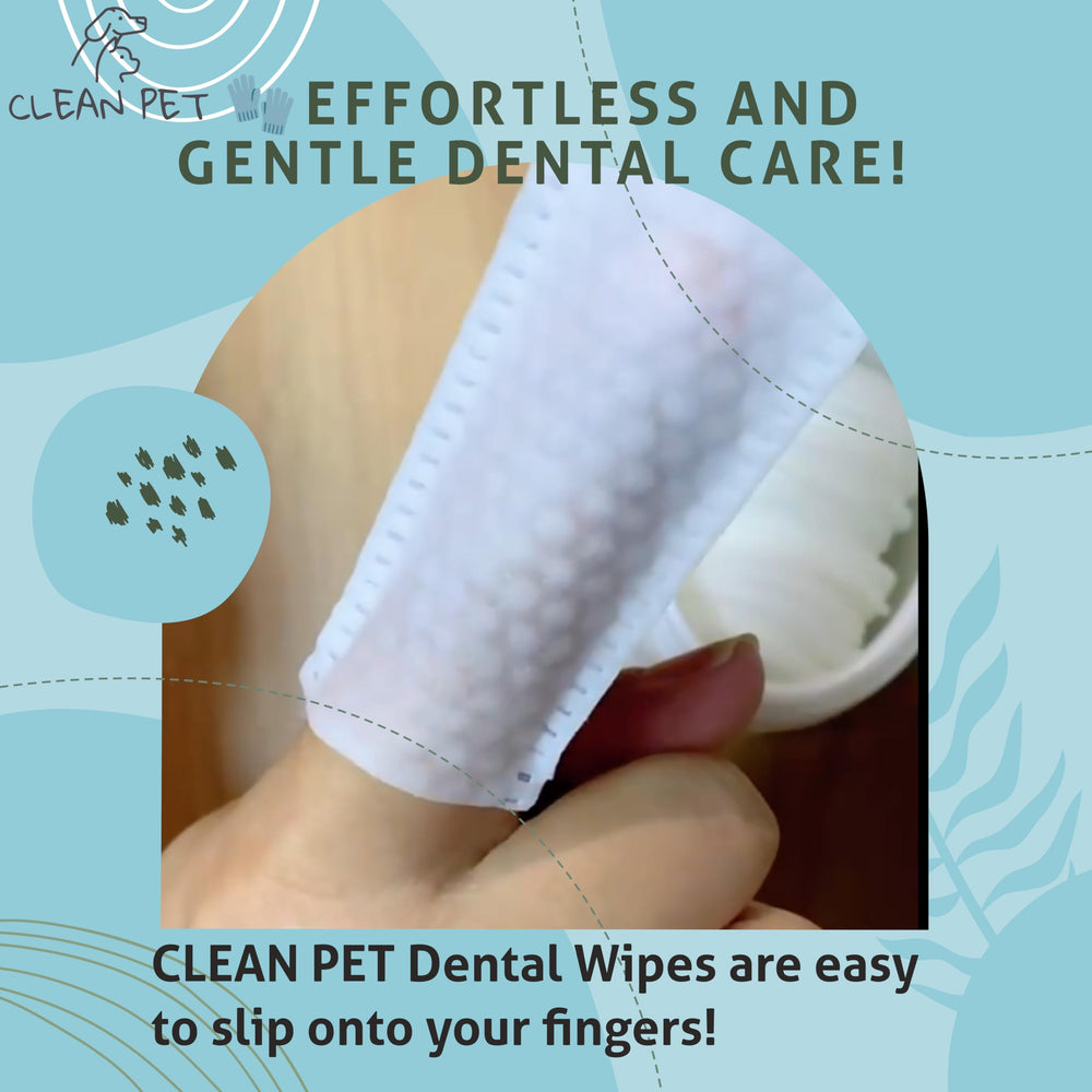 Clean Pet lingette enfilée sur un doigt nettoyant la ligne des gencives