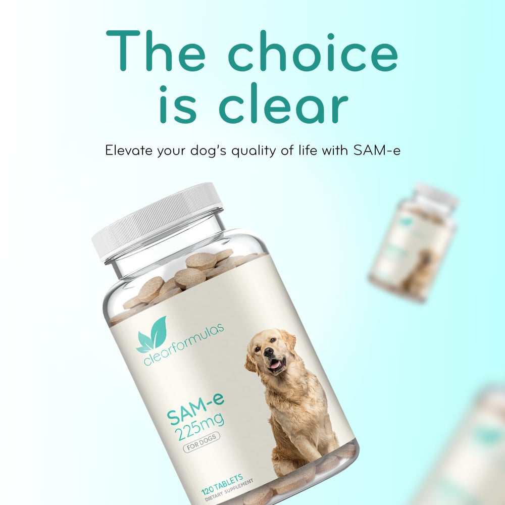 Clear Formulas étiquette ingrédients lisible, assure transparence et conformité cGMP