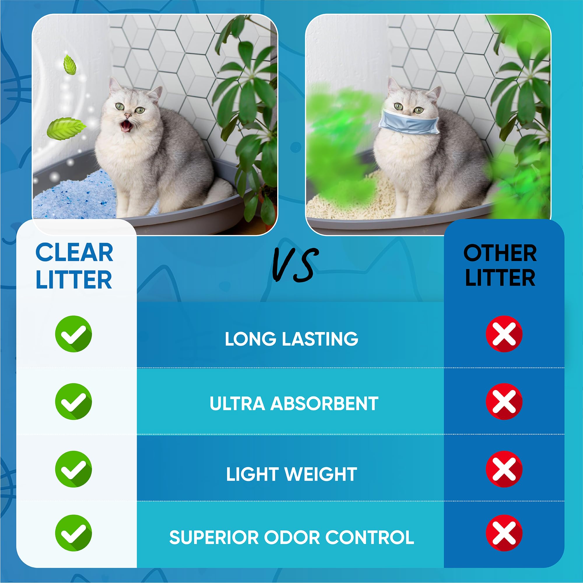 Clear Litter eau absorption démonstration montrant pouvoir absorbant 40x
