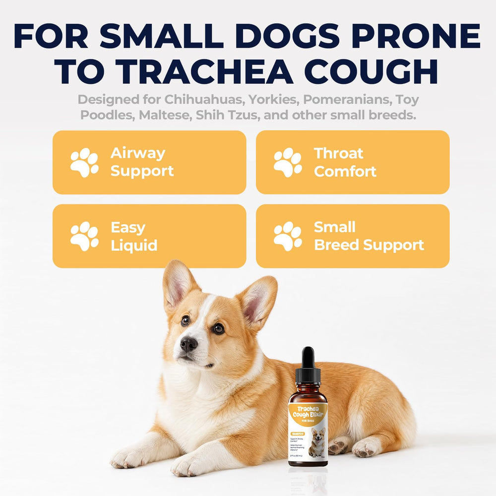 Clenurvito compte-gouttes détaillé facilitant le dosage précis quotidien