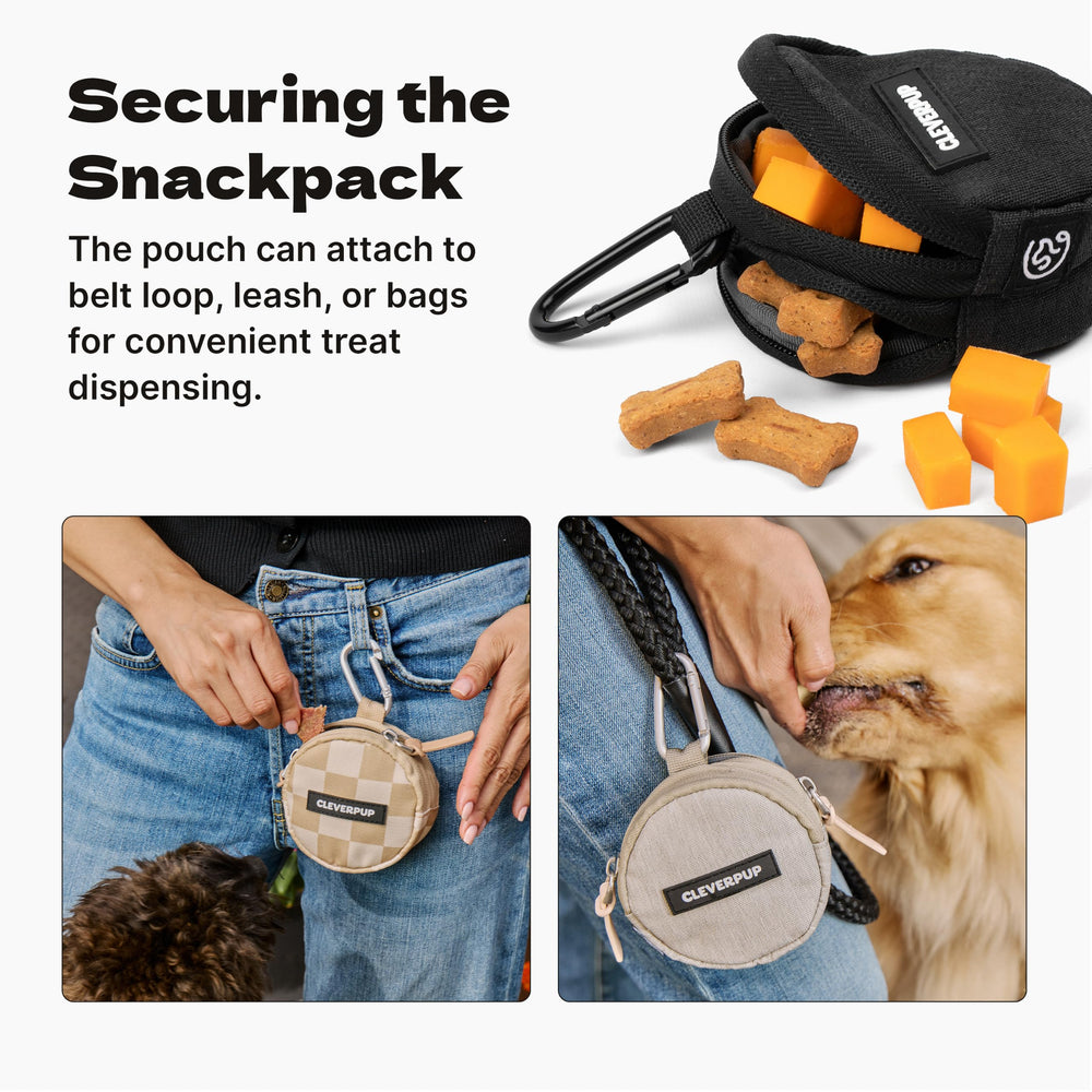 Cleverpup comparaison avec main pour taille, capacité 1,5 cup visible