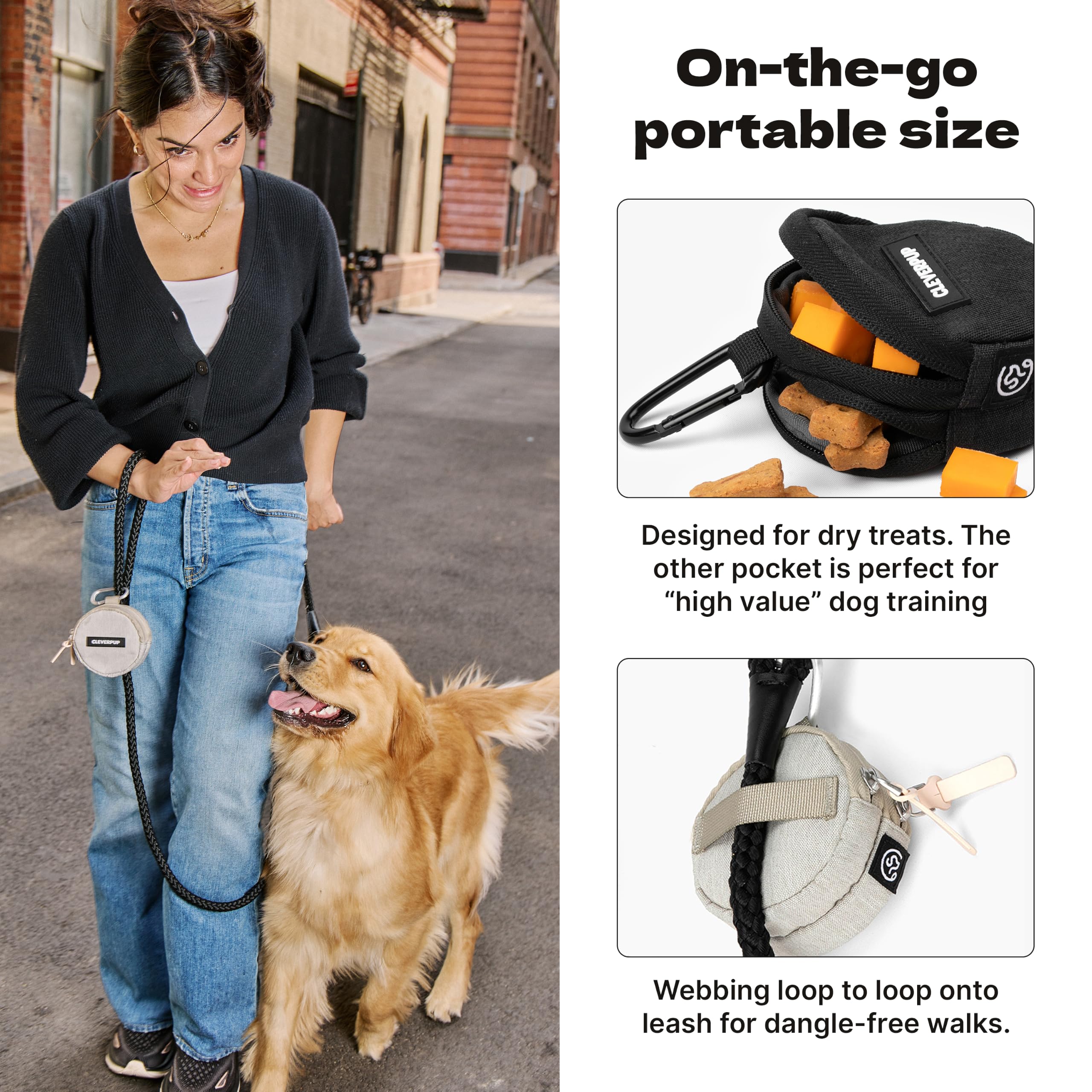Cleverpup mousqueton en métal attaché à une laisse, fixation sécurisée