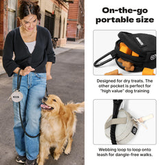 Cleverpup mousqueton en métal attaché à une laisse, fixation sécurisée