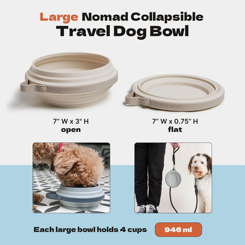 Cleverpup bol Nomad détail du rebord anti-éclaboussures pour moins de renversements