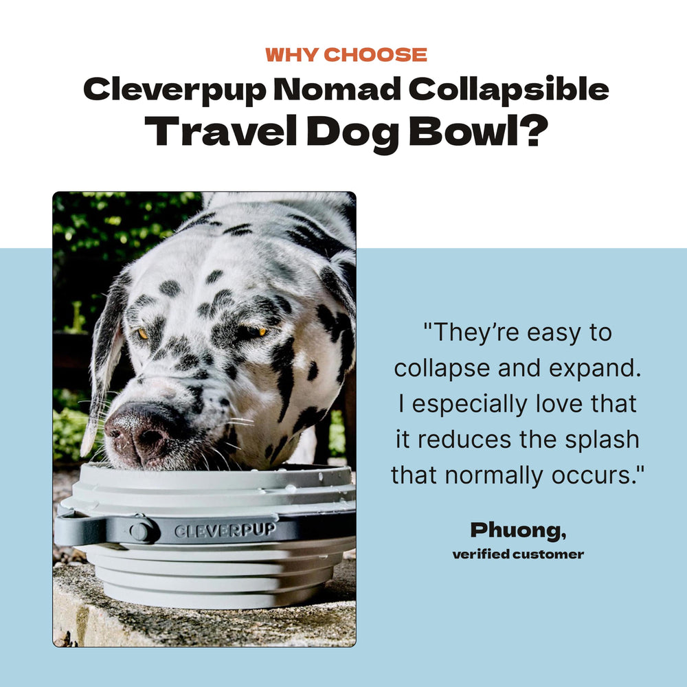 Cleverpup bol Nomad à côté d’une règle pour comparer la taille réelle