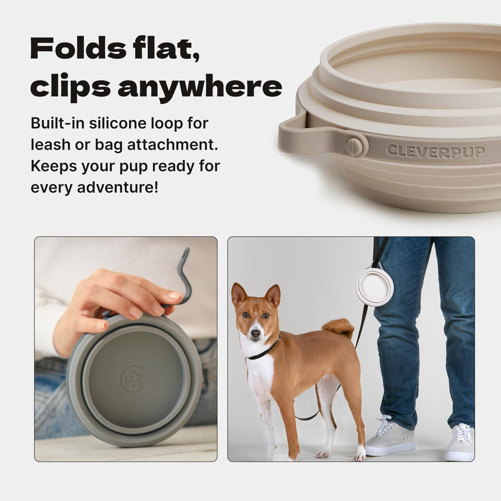 Cleverpup bol Nomad gros plan silicone sûr et facile à nettoyer