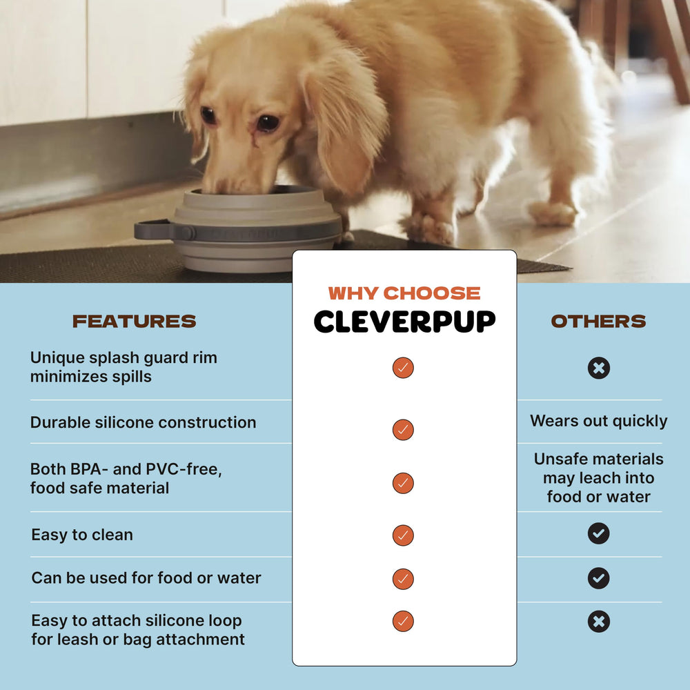 Cleverpup Nomad dans le panier supérieur du lave-vaisselle, entretien facile