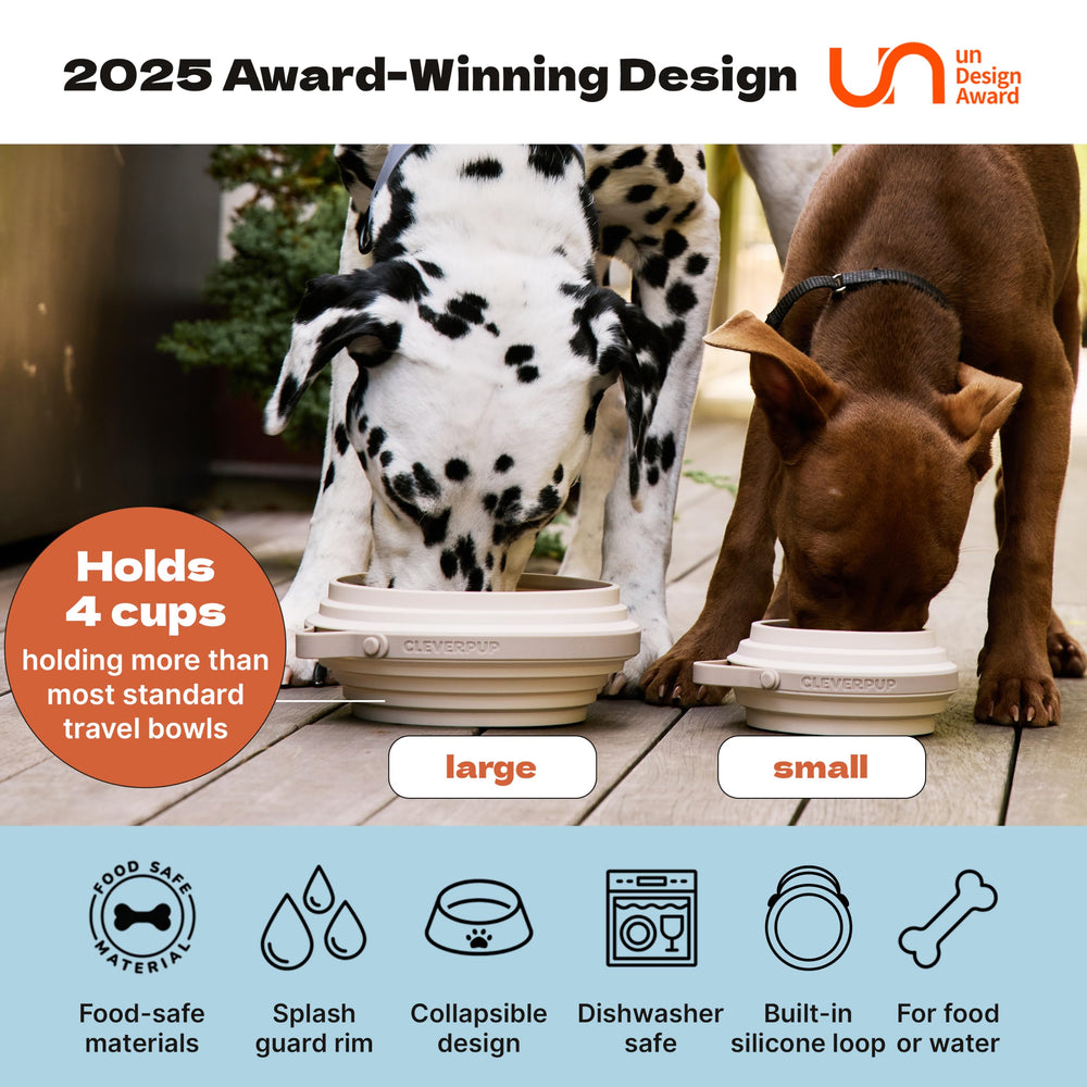Cleverpup bol Nomad profil déplié pour alimentation et hydratation pratique