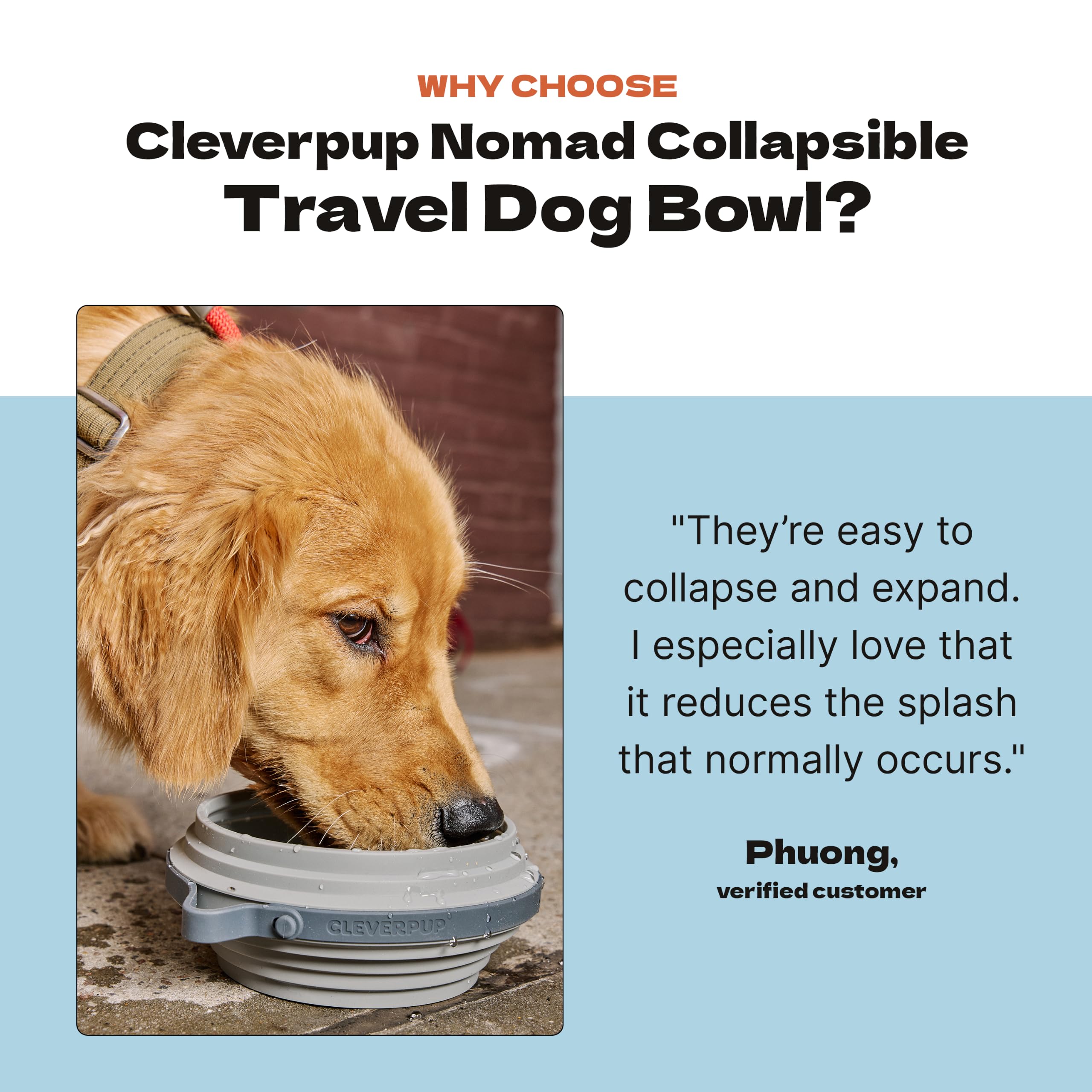 Cleverpup Nomad remplie de croquettes pratique pour repas nomades