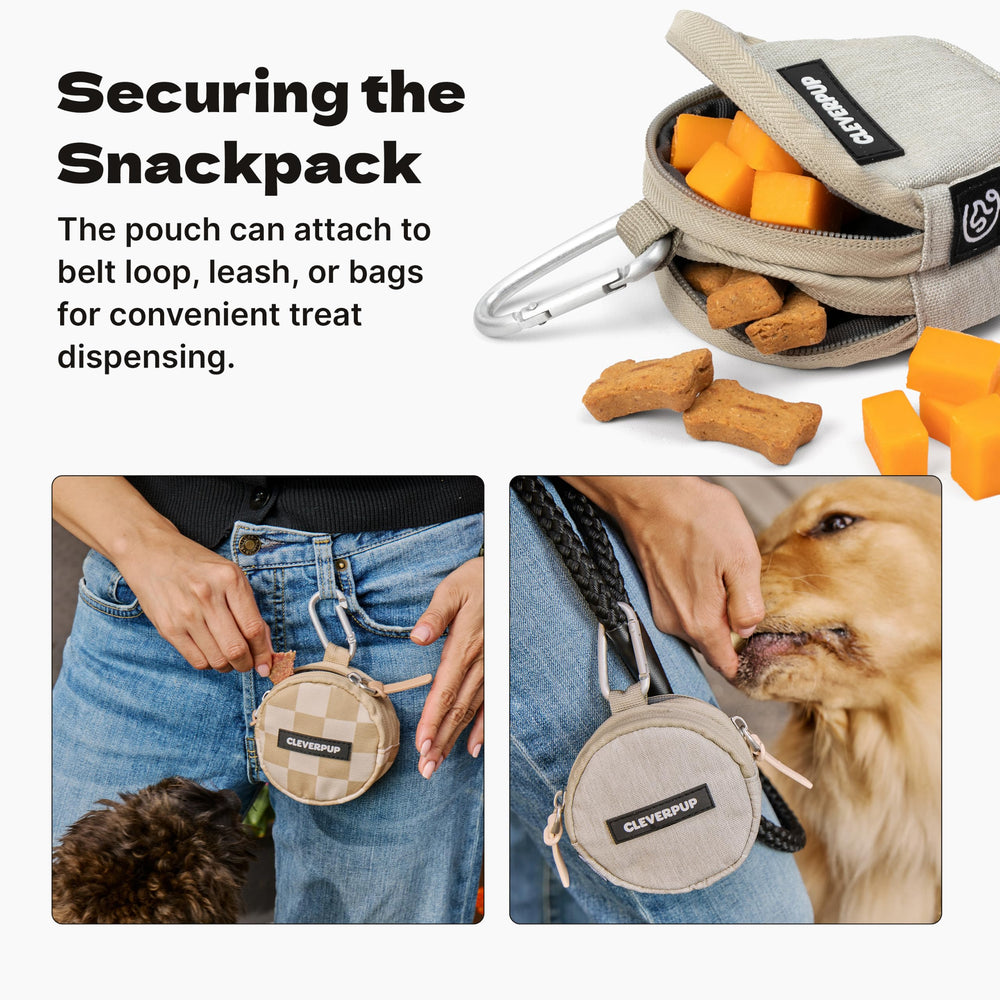Cleverpup sacoche en usage par un éducateur montrant commodité pendant balade