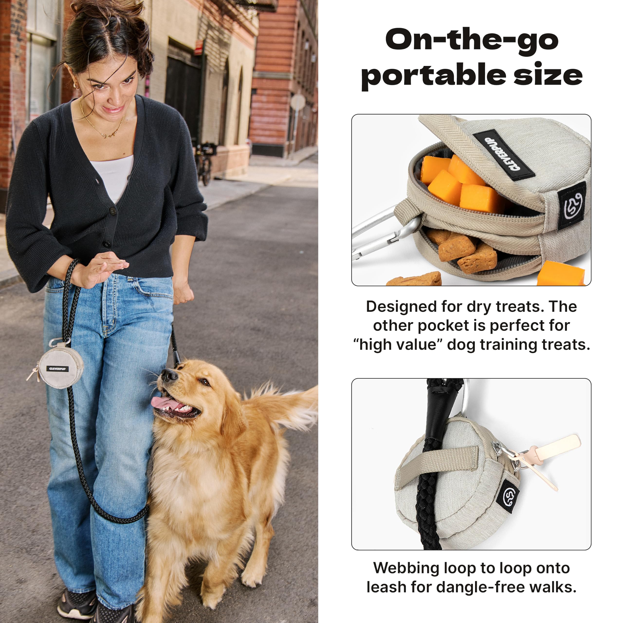 Cleverpup mousqueton métallique accroché à une boucle ceinture pour sécurité
