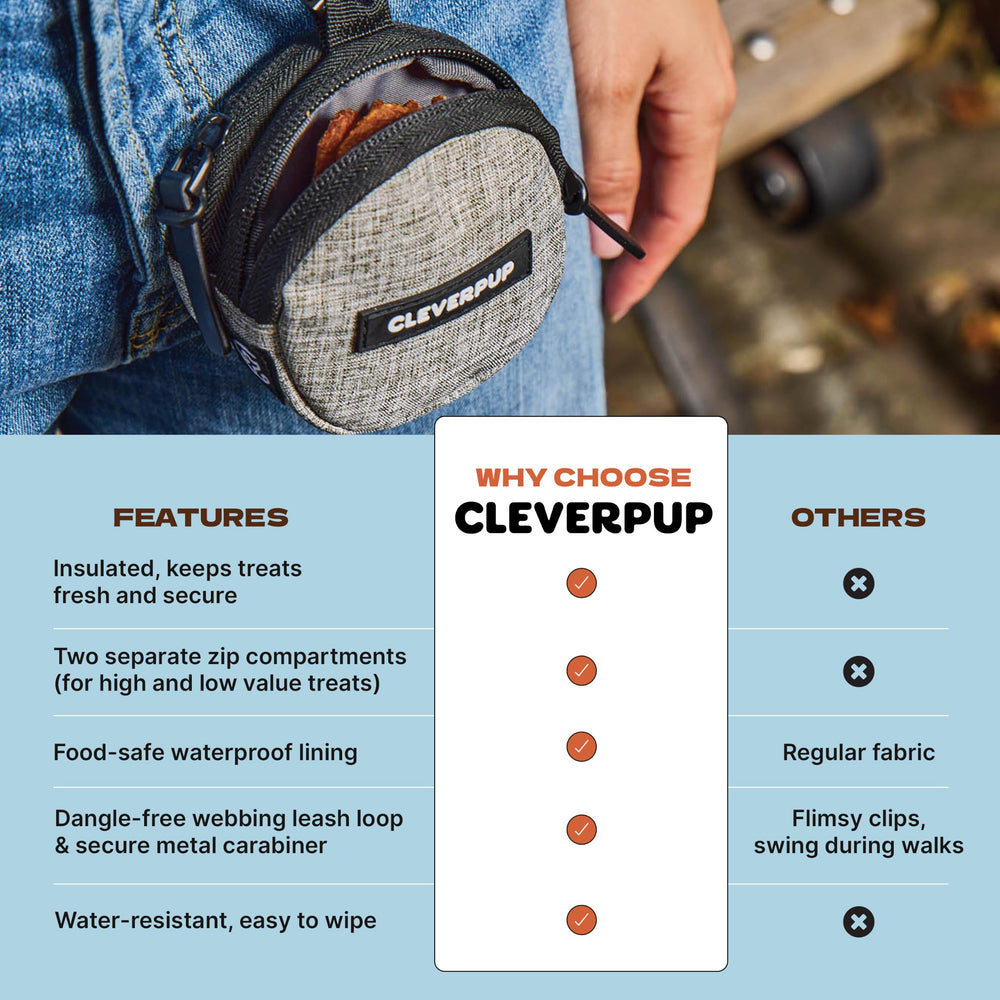Cleverpup vue ensemble avec friandises illustrant capacité de 1,5 tasse