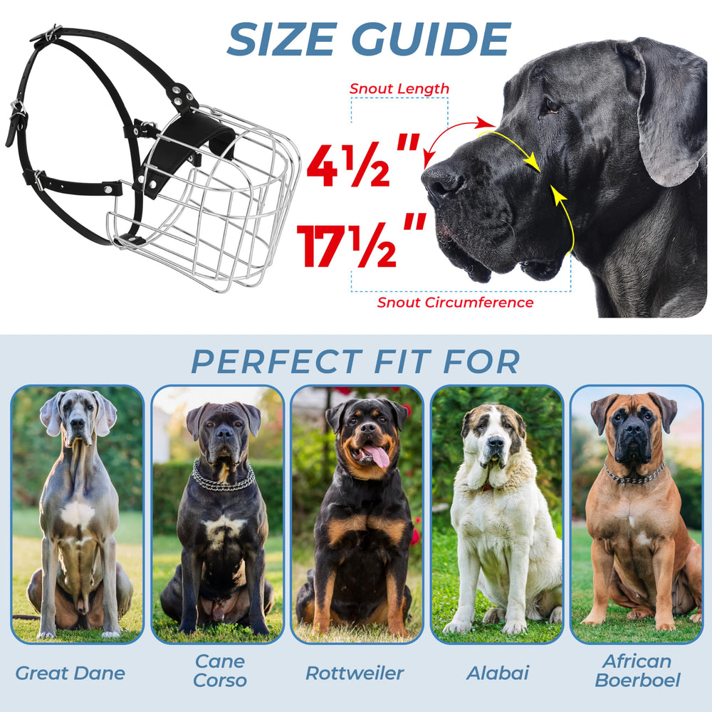 CleverTail sangles en cuir réglables pour confort ajustable