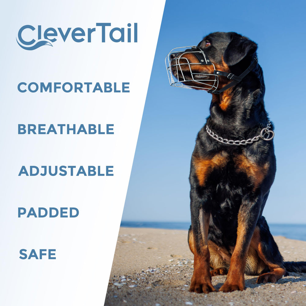 CleverTail muselière utilisée chez le vétérinaire pour manipulations sûres