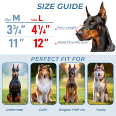 CleverTail détail des sangles en cuir ajustables pour maintien confortable