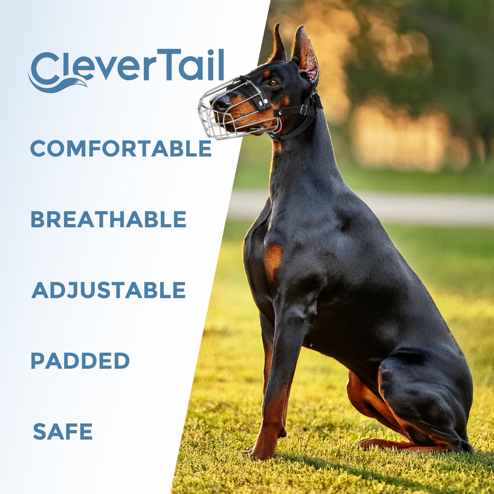 CleverTail muselière en contexte vétérinaire pour manipulation sûre