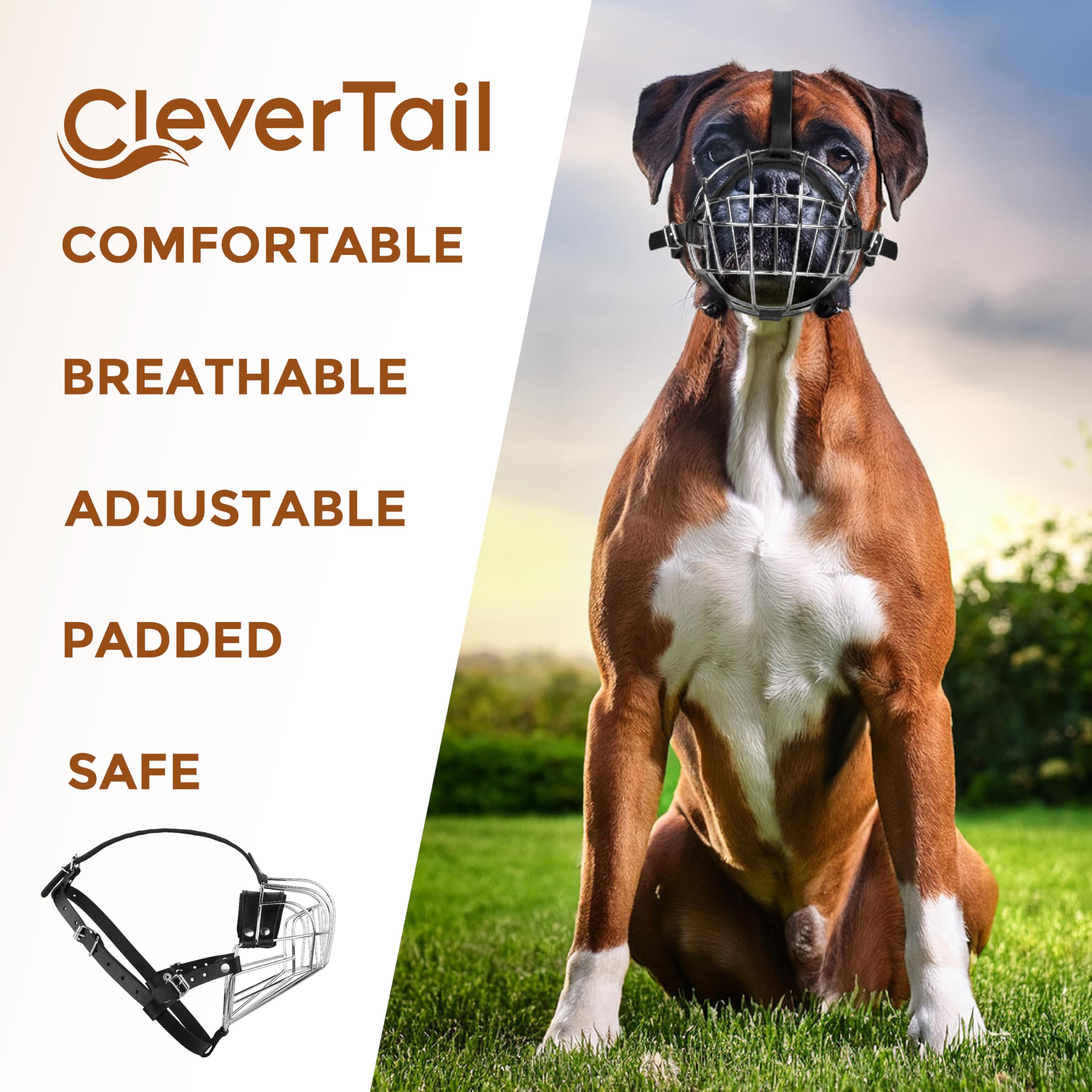 CleverTail comparaison taille montrant ajustement précis et échelle