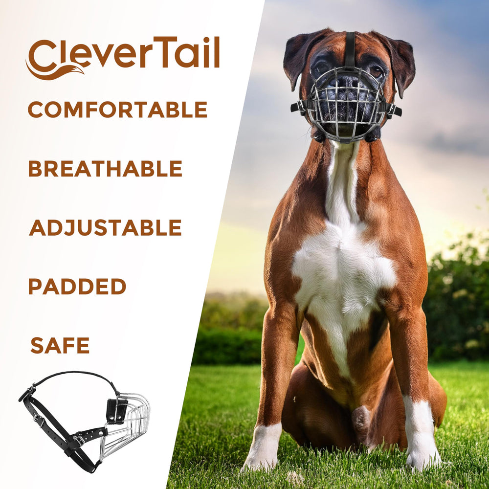 CleverTail comparaison taille montrant ajustement précis et échelle