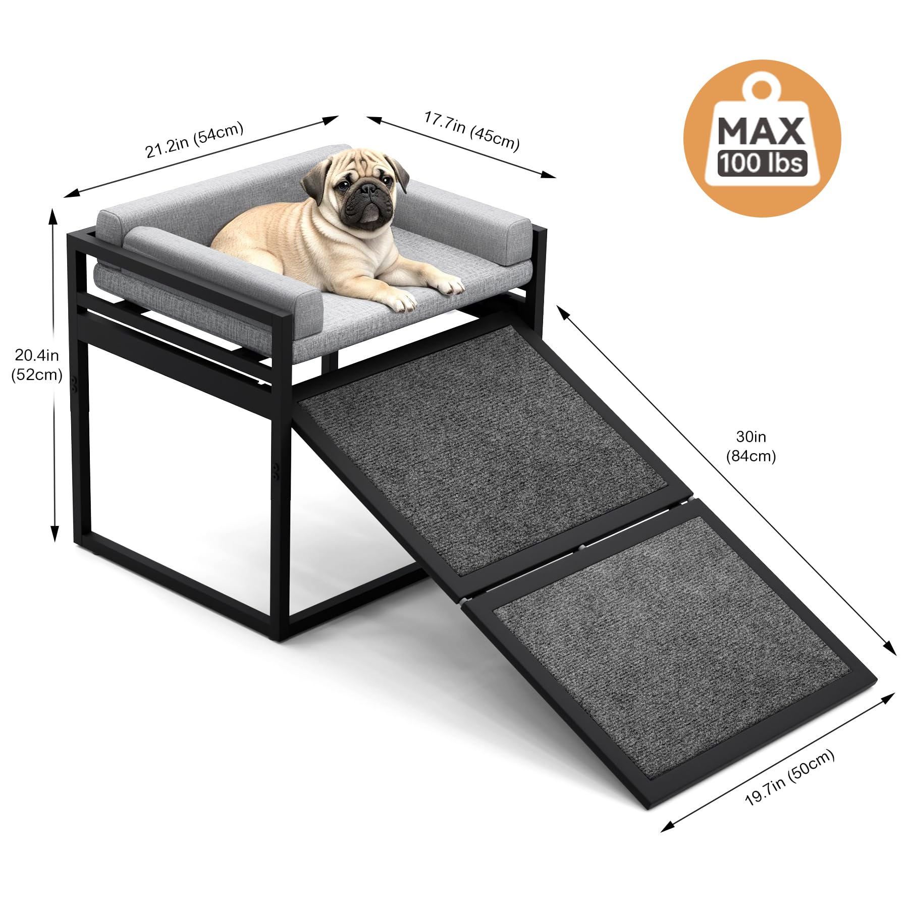 Clioran comparaison taille montrant échelle et ergonomie pour chien