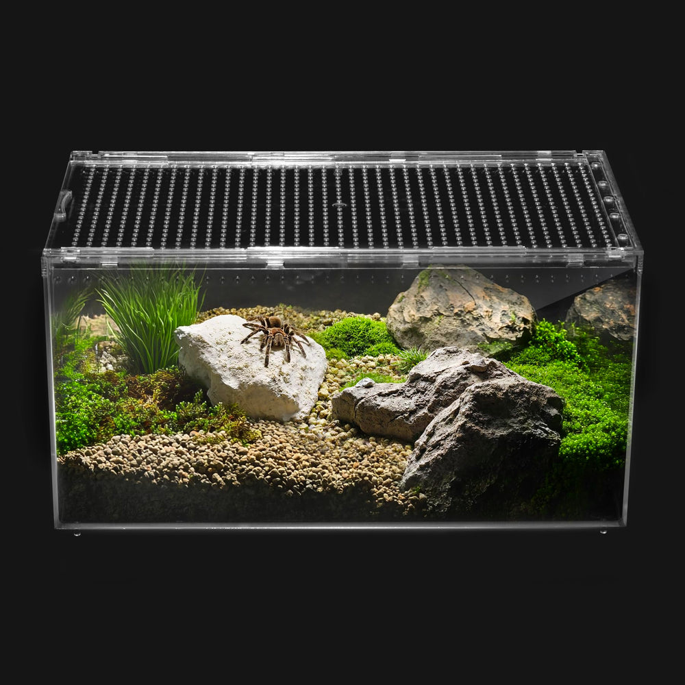 Clioran vue avant du terrarium montrant fermeture sécurisée