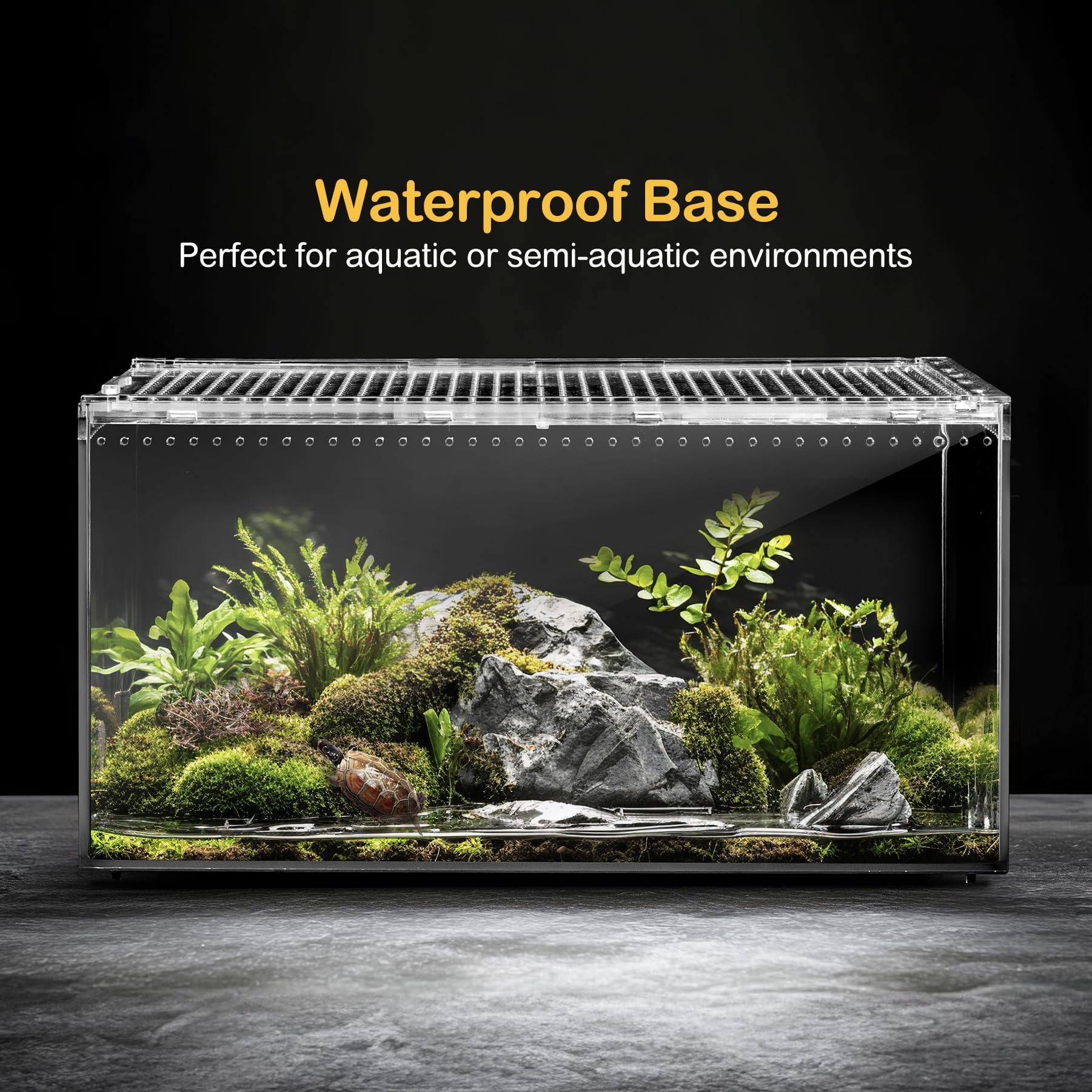 Clioran terrarium aménagé illustrant habitat naturel