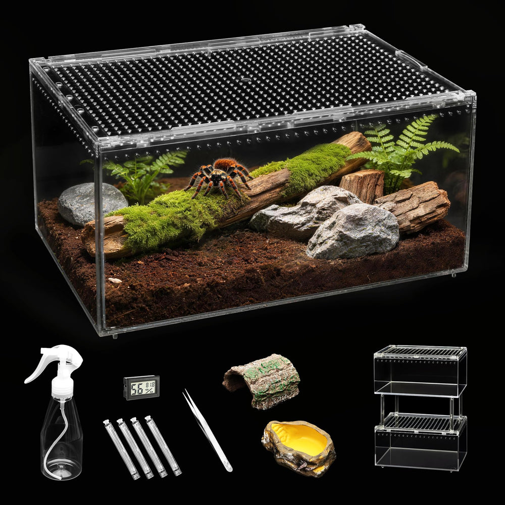 Clioran face avant du terrarium PC montrant visibilité complète et durabilité